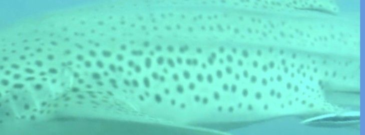 437aa328-2489-4d10-ba15-3eb7418ad408