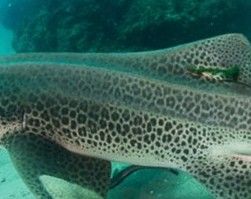 ac5b2311-e44e-4380-bebb-a8e4faed2d1f