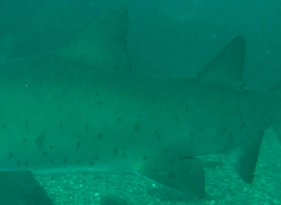 3f1390b4-8e32-4736-8208-68ba1264027f