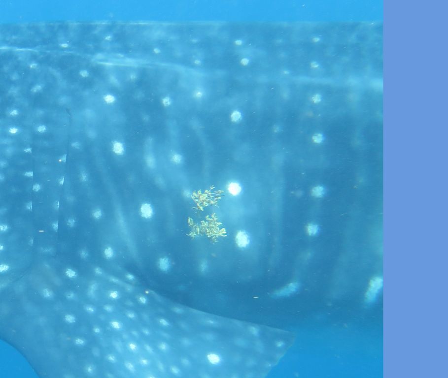 fb21c38e-a3c6-4292-88a2-8bd3a7dae0a7