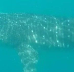 b3278332-9a98-4814-a003-7a8486fb01a4