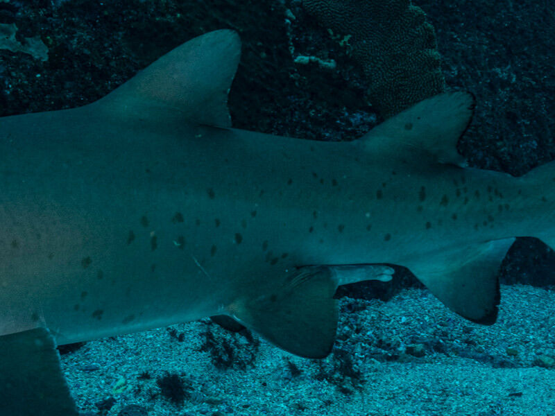 37feb32b-c639-4bca-bfad-eb15ad8b30eb