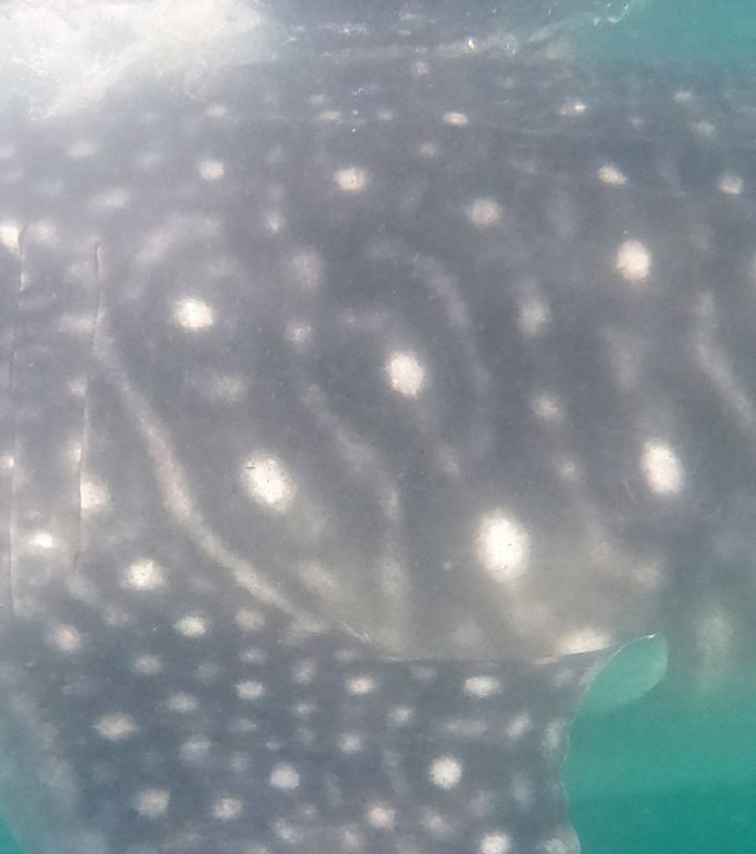 df271328-3071-420a-b296-a387b9f52c84