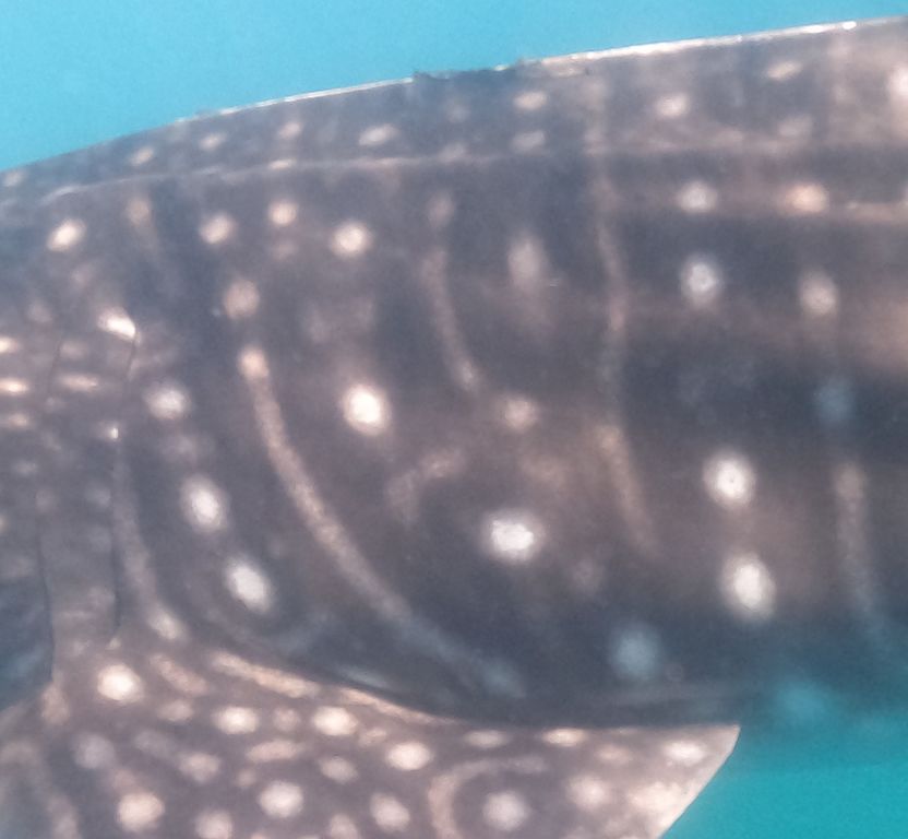 c135ada6-08ba-4076-9fec-78ba2fb06f60