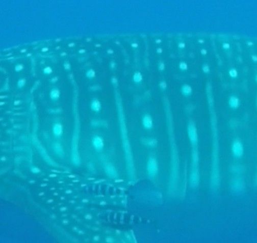 91231192-12f0-4b0f-b547-62dd4206fafe