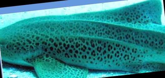 1f2f8fac-102d-4b31-bb8e-24b21987e55d