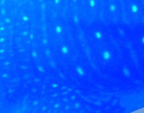 b01b1300-9a34-433c-a82d-cabfa72750f4