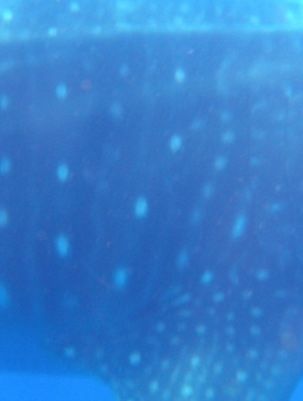 b01b1300-9a34-433c-a82d-cabfa72750f4