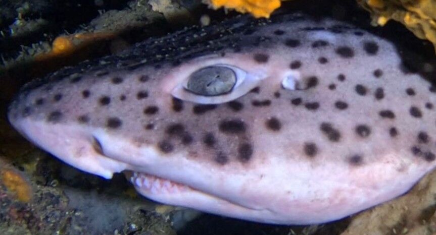 82bad25f-9789-43f6-aad5-9617ca4b2144