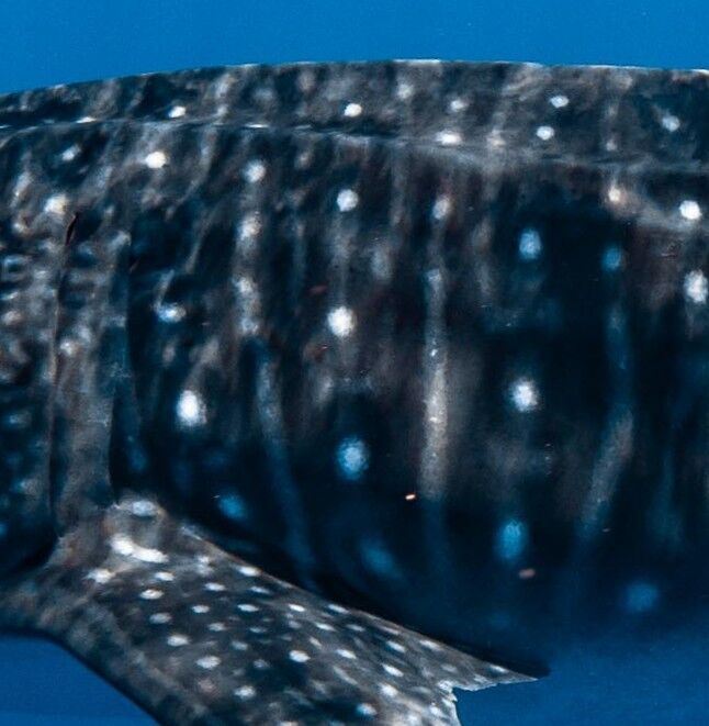 6ec8bec3-8698-4374-8b33-2c5efef6ae14