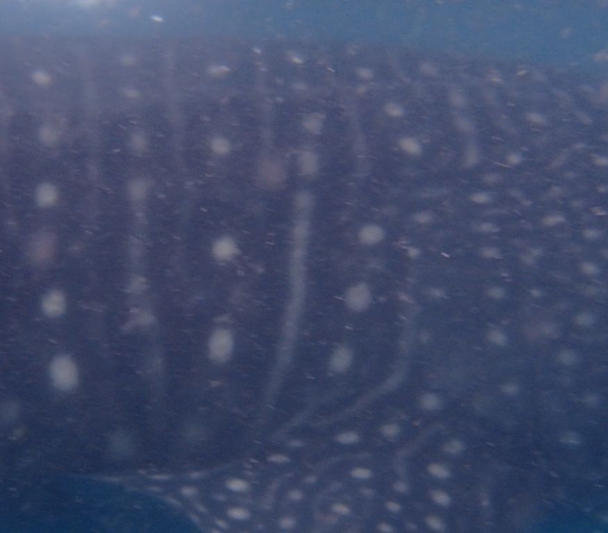 38da77fe-1ec2-49b0-b65b-7f8b1dfdc9ef