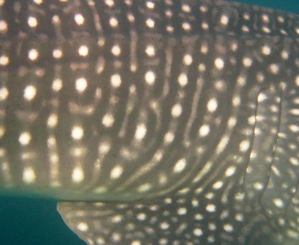 e105953b-8781-42e1-82e9-0f678539785b