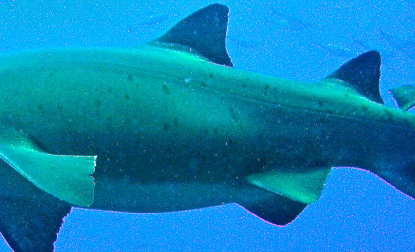 22b9b180-80fa-46fa-b357-daea75dae52a