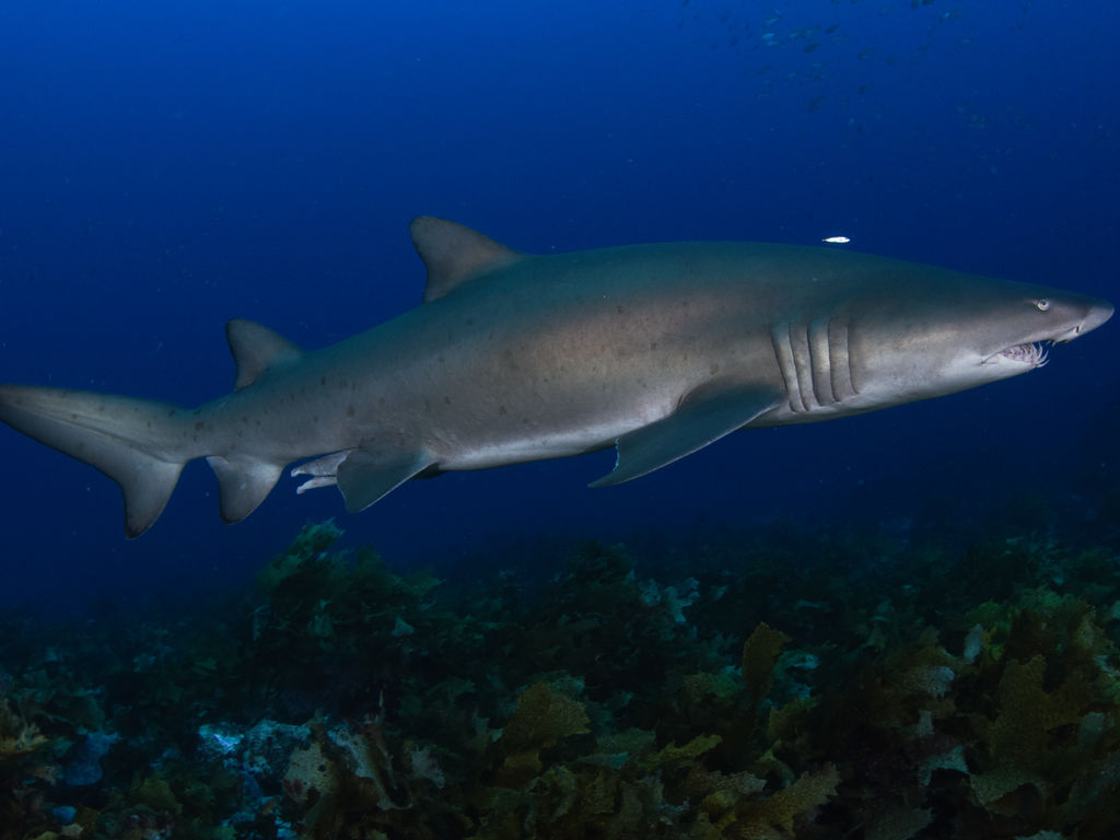 97b1146a-bcf8-4adc-a37d-4bfa91b97b73