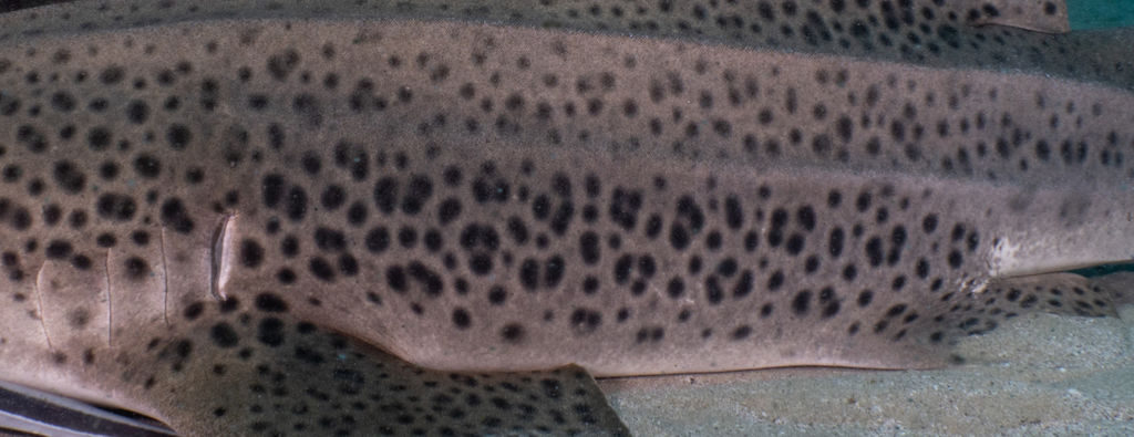 bf59740e-5541-45d5-8317-bd8bc671eead