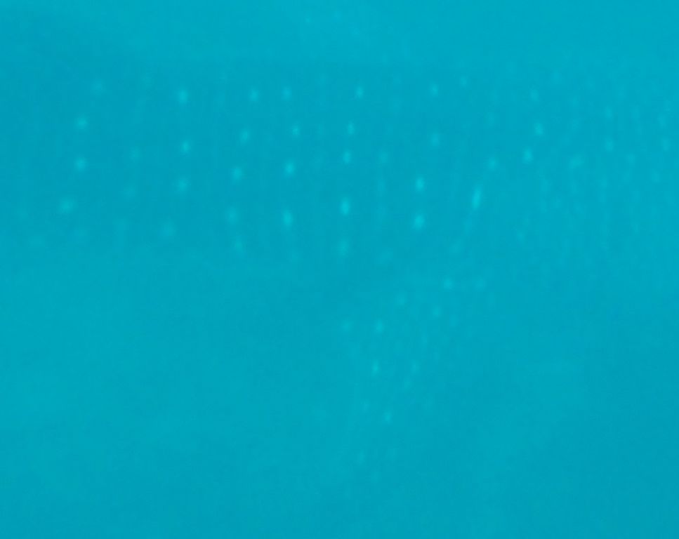 e8295ec2-5306-4e8d-b91c-f30d91eb4377