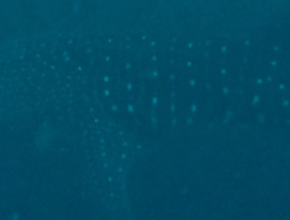 e8295ec2-5306-4e8d-b91c-f30d91eb4377