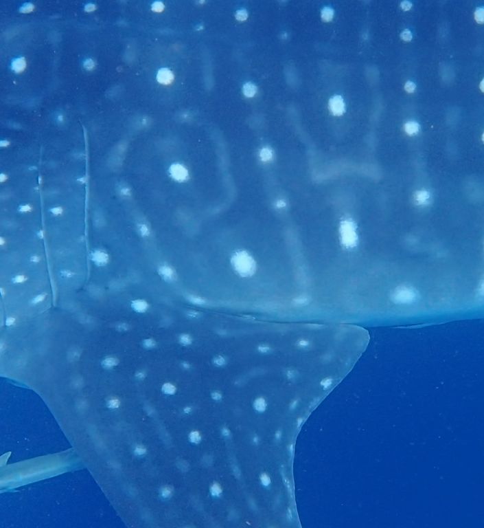 7a9a95f6-85fa-469b-8a41-e9ce733cc6bd