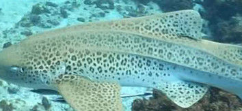 1a638bb8-9d84-4b23-aa00-cfd43d412e3b