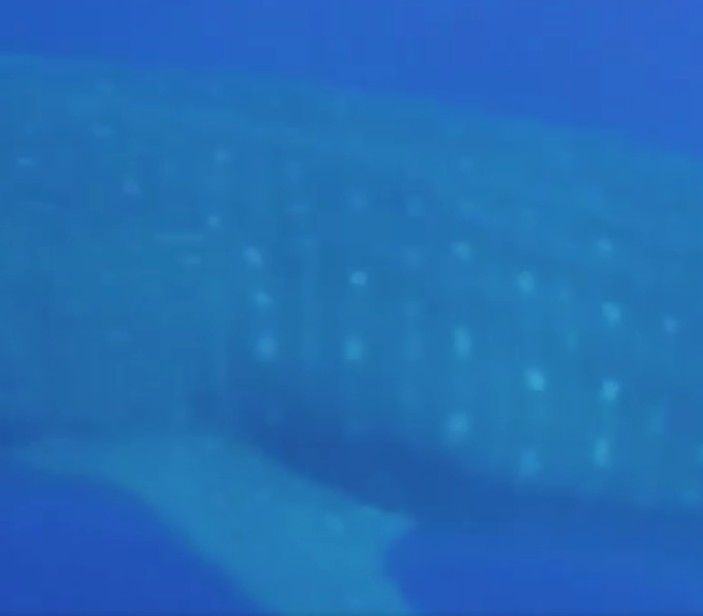 99d18d3d-7dd3-4b32-bdde-f488b9a83b9e