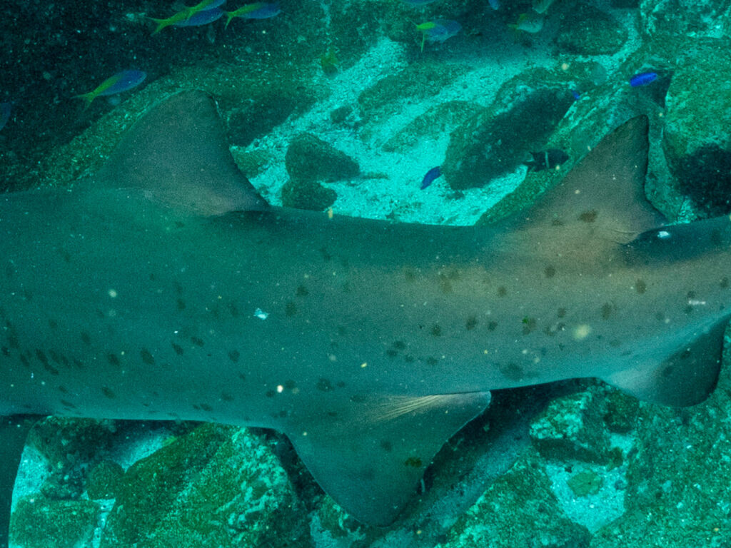 04964b4c-dfcc-4efd-9b2d-11827bf37536