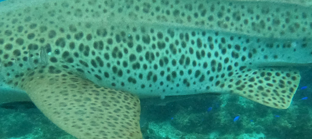 6f30a021-26b6-4dd3-b1a0-a2182fde6726