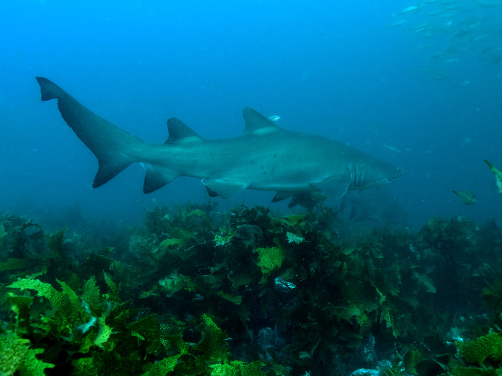 51e76510-3bea-4afb-815b-d09d4830b976