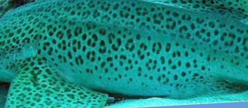 6c6ce349-9777-4c57-b1f0-4f8a512a711e