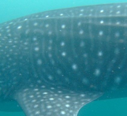 9a362f03-e22d-4a26-b2e0-9dc4ffb9d634