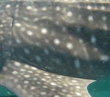 389c9afe-5722-43e4-845c-70f2e037476e