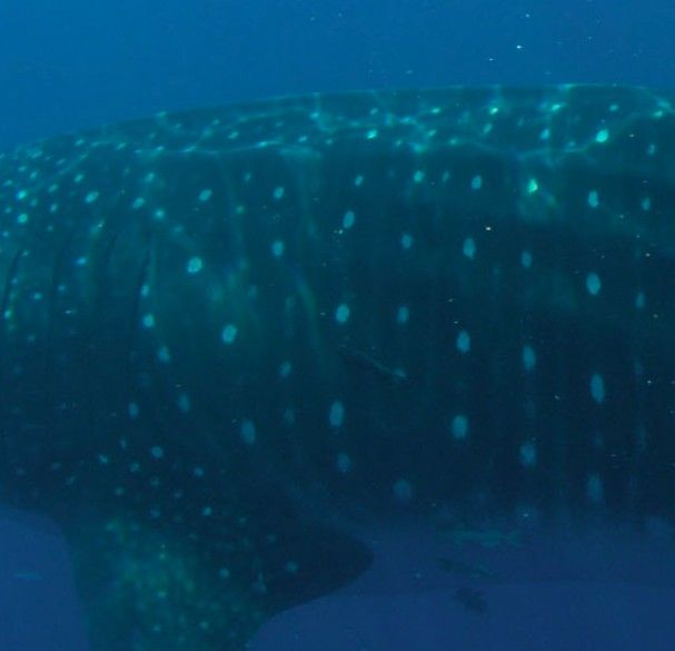 11e35848-2c66-4965-8999-4a472ff6710d