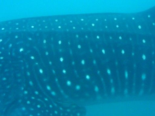 e0edbcf4-7bbb-447d-8a8f-5bfb16c5cb31