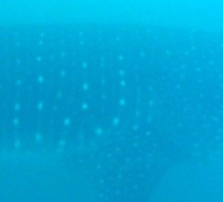 e0edbcf4-7bbb-447d-8a8f-5bfb16c5cb31