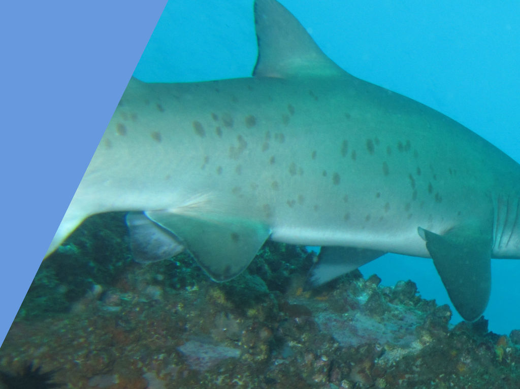 0708cce7-2093-4d4a-b62d-1c1e6a116f02