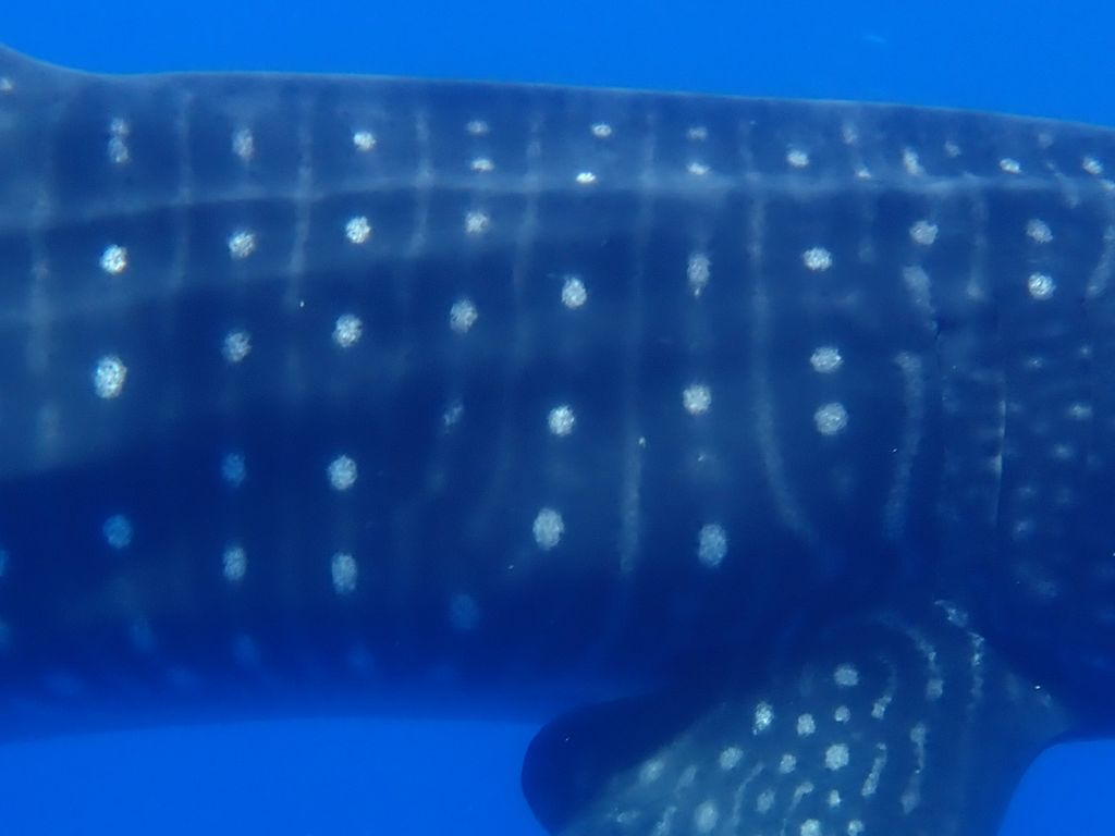 d2ccab82-43e6-4540-befd-d889cafaee56