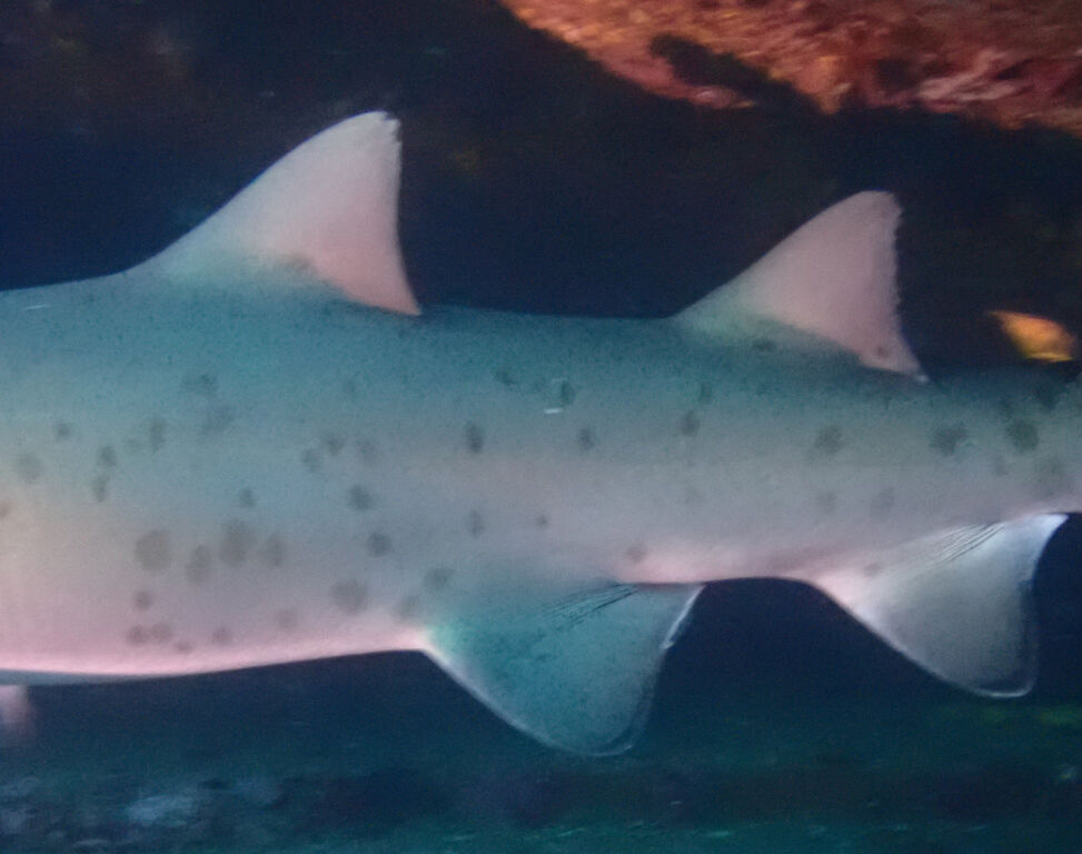 b94d8848-e2e5-4f27-9392-64ce29f21447