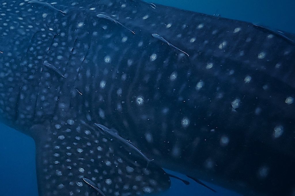 3410e46d-04a3-478d-bd7b-d15bc9f33585