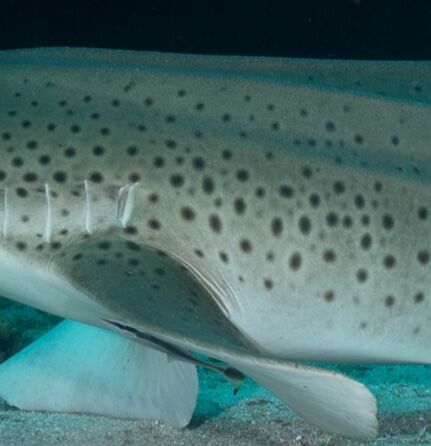 4e0742f1-eaa8-4210-9db5-6673cc76e04a