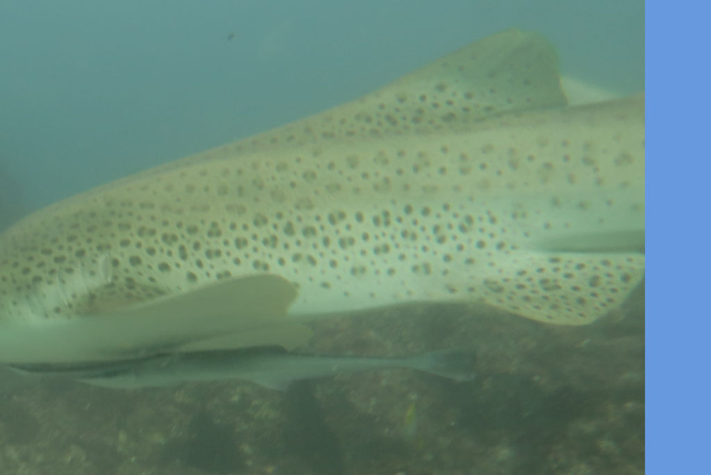 2915f28a-c58d-4bf9-856c-5eeee715a3b9