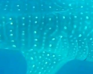 da91f483-a8fc-4c46-b89b-0925ad97cbd0