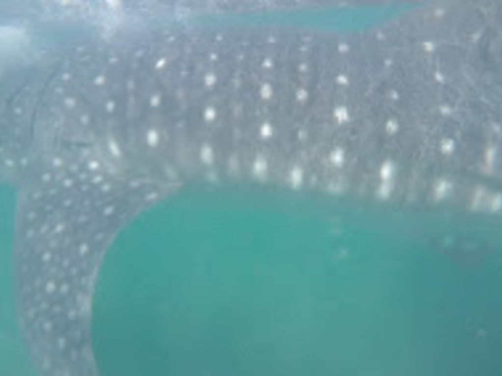 9e890149-6470-4cd4-a63a-d13c247679a3