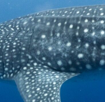 77544d02-6060-495c-946b-38a32be8ba51