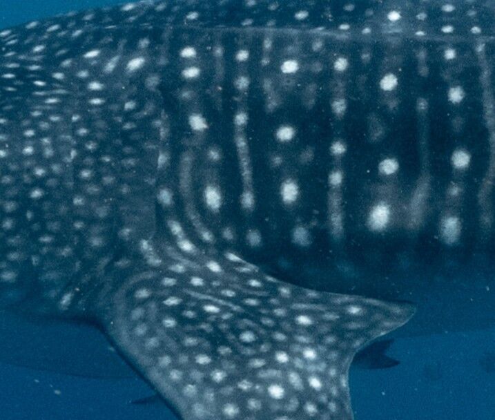 44771b50-c1f1-4900-ae55-f61dd6172ef3