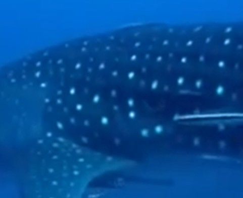 c8916edc-1a7c-49c0-8fdf-43facd8c7cb8