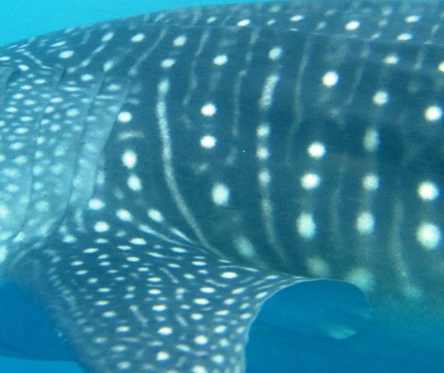 e6f2c3c1-3a6e-4105-9ee1-74604aed33dd