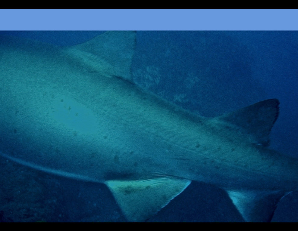 2b111575-0eb8-44b6-98a7-74fca564a6c7