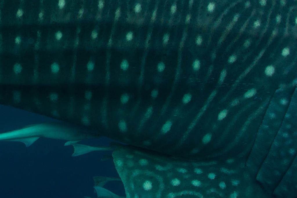 aaff848d-a229-4979-a4fc-dd1e424a5bdb