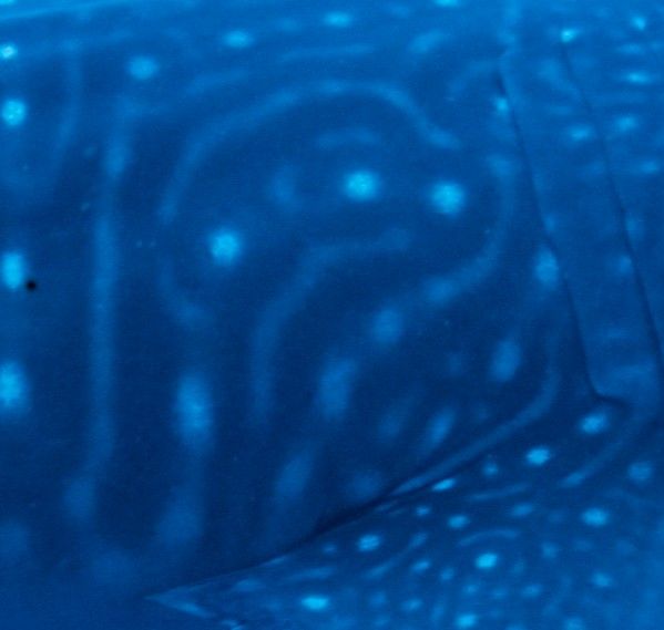 11e7f8cc-00db-480b-8051-99bc78844388