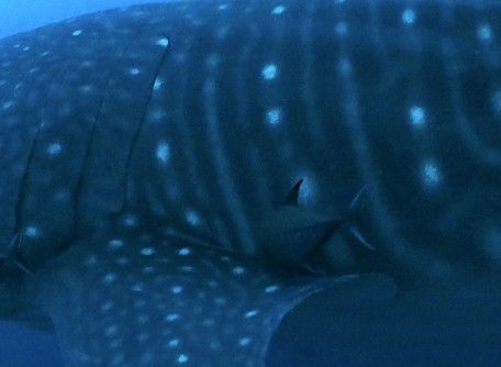 11e7f8cc-00db-480b-8051-99bc78844388