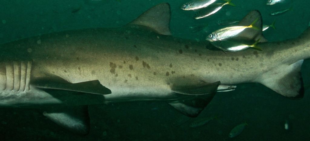 6a3effed-f081-4c57-a254-3ff68fa62a6c